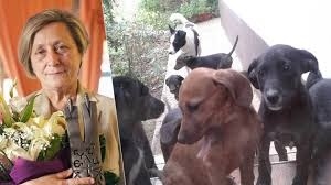 За пример! Нешка Робева спаси 14 кученца и им търси дом