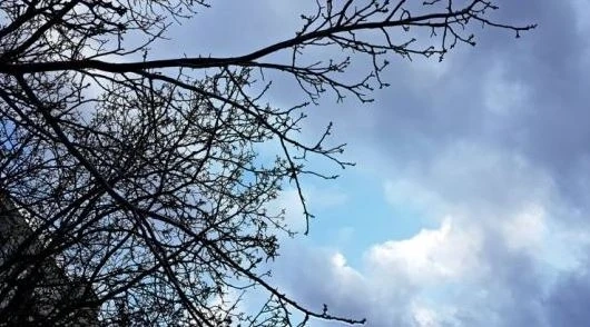 Днес облачно с максимални температури  между 8° и 13°
