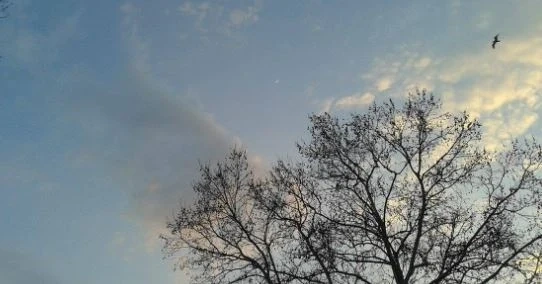 Днес облачността ще намалее. Максималните температури ще са между 6° и  14°