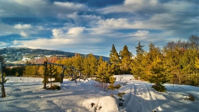 Максималните температури ще са между 8° и 13°