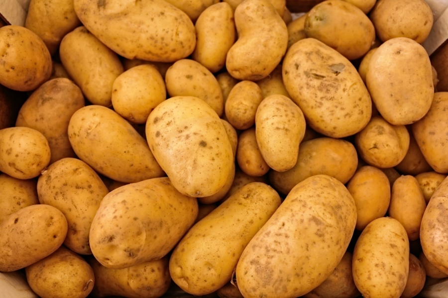 БАБХ не откри измама с произхода на картофите