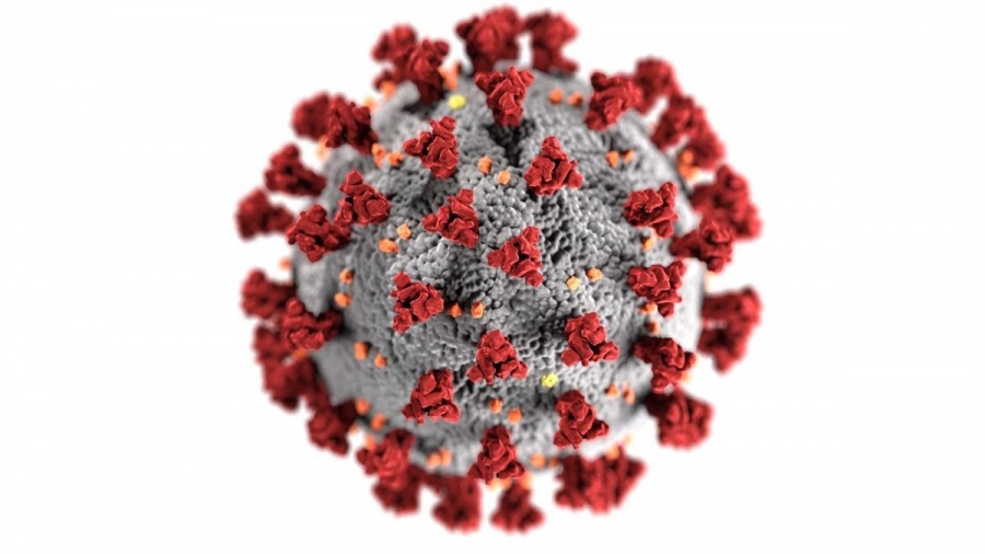 Усложнения след коронавирус: нови научни данни за COVID-19