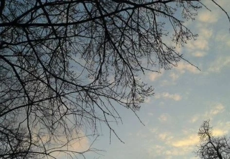 Днес облачно с максимални температури между 9° и 17°