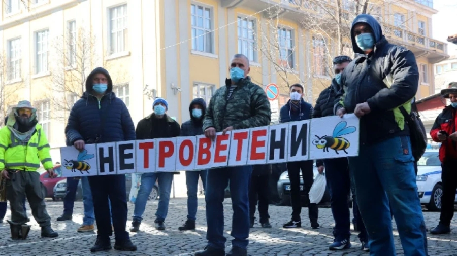 Пчеларите на протест: Най-големият бич е смъртността на пчелите