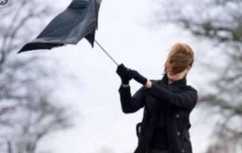 Вятър със скорост близо 100 км/ч на много места у нас