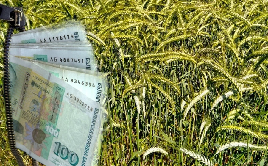 Парите на земеделците в банките набъбнаха със 145 млн. лв.