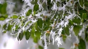Максималните температури ще са между 6° и 8°