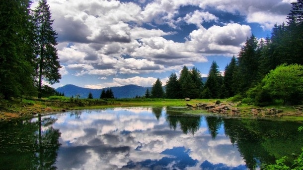 Истинската Партия на Зелените е за чиста природа