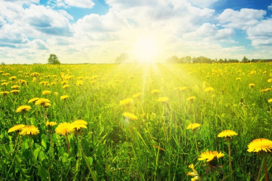 Учени: Слънчевите райони са свързани с по-малко смъртни случаи от COVID-19