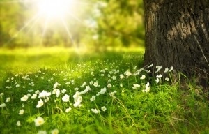 Днес слънчево и топло. Максималните температури ще са между 18° и 23°.