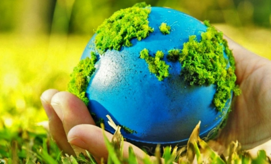 Отбелязваме Международния ден на биологичното разнообразие днес