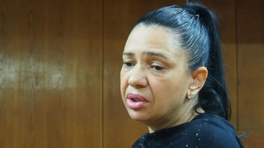 Анита Мейзер влиза във ВИП Брадър
