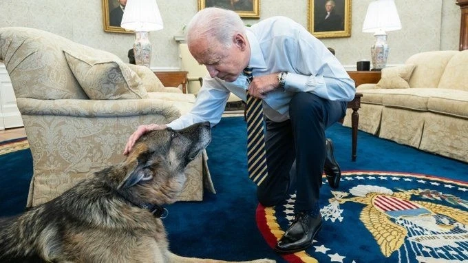 Почина едно от кучетата на Джо Байдън