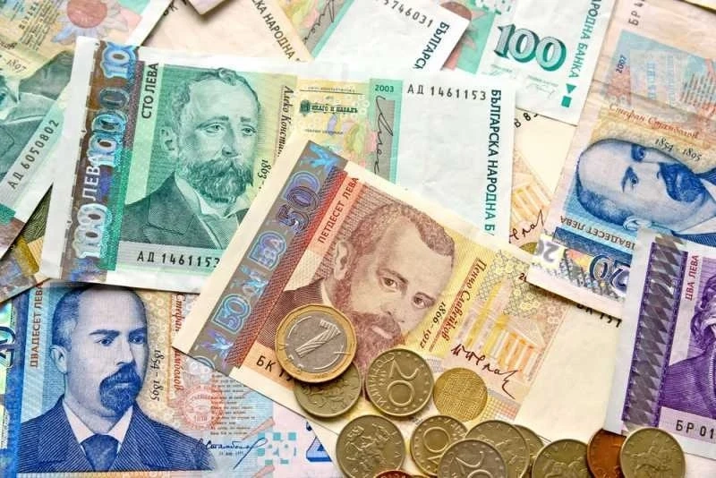 Партия на ЗЕЛЕНИТЕ иска референдум за въвеждането на еврото