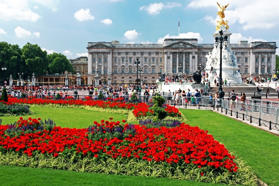 Градините на Бъкингамския дворец отварят за пикник и разходки