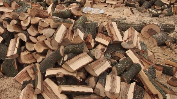 Цената на дървата за огрев - 50 лв. при горския, 100 лв. от склада  