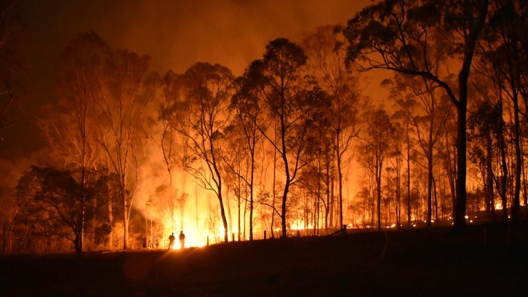 Цяла нощ пожарникари гасиха големия пожар в боровата гора в