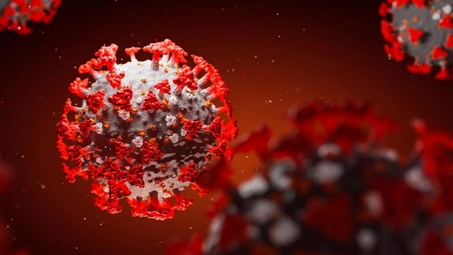 Новите случаи на коронавирус у нас са 805