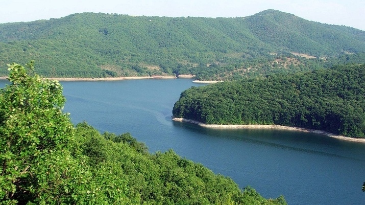 Водата в яз. Ивайловград на критично ниво, рибата измира 