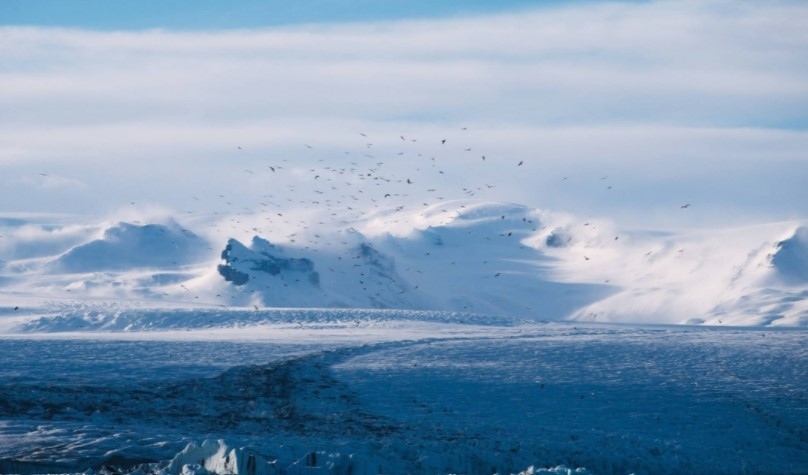 Радиация и вируси заливат Земята, ако се разтопи Арктика
