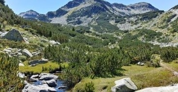 Партия на ЗЕЛЕНИТЕ обясни зеления преход  