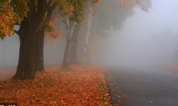 Жълт код за гъсти мъгли в 7 области за утре