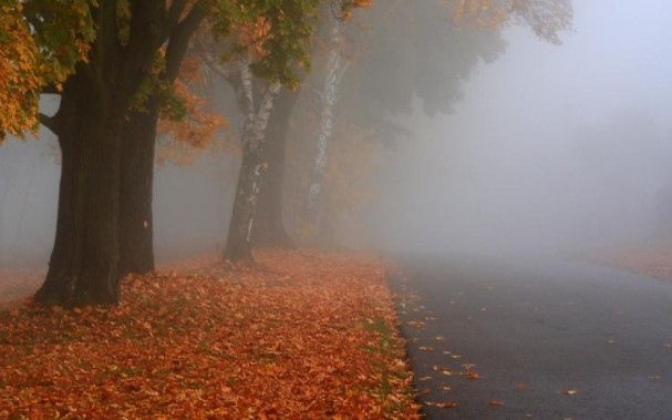 Сутринта мъгливо след обяд слънчево. Максималните температури ще са между 10° и 15°