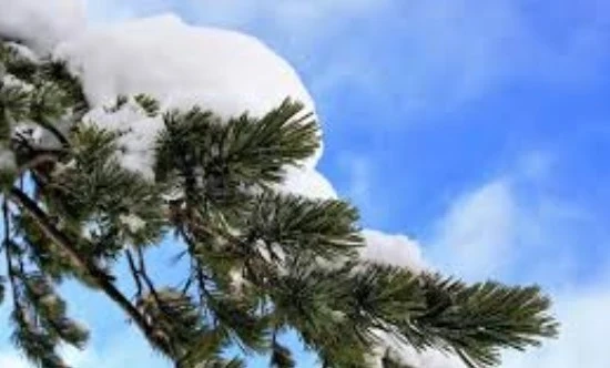 Днес слънчево с максимални температури между 9° и 14°