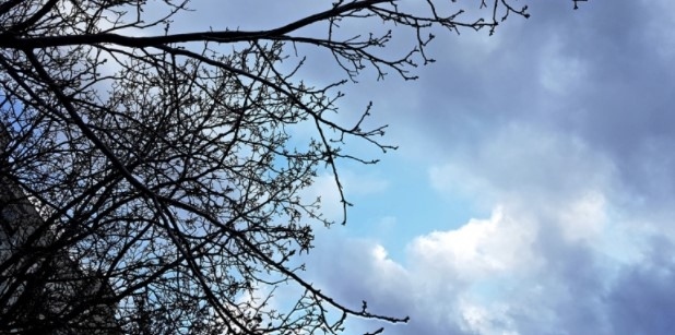 Днес облачно на места с валежи. Максималните температури ще са между 4 и 9°