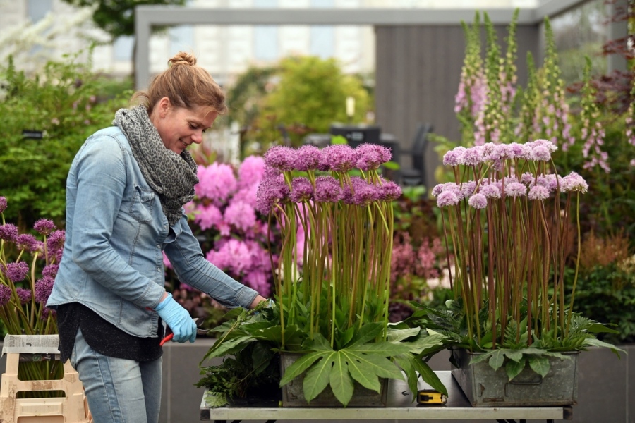 Панаир на цветята в Челси