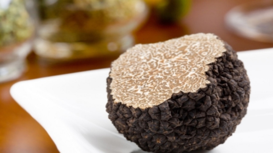 Традицията за търсене на трюфели е в списъка на културното наследство на ЮНЕСКО