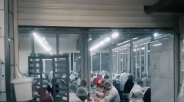 Ужасяващи разкрития за модерното робство на българи в кланицата в Германия