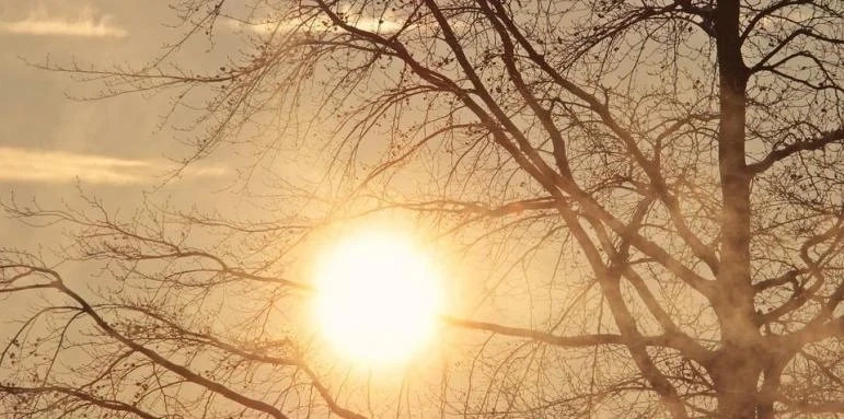 Днес слънчево с максимални температури между 12° и 17°