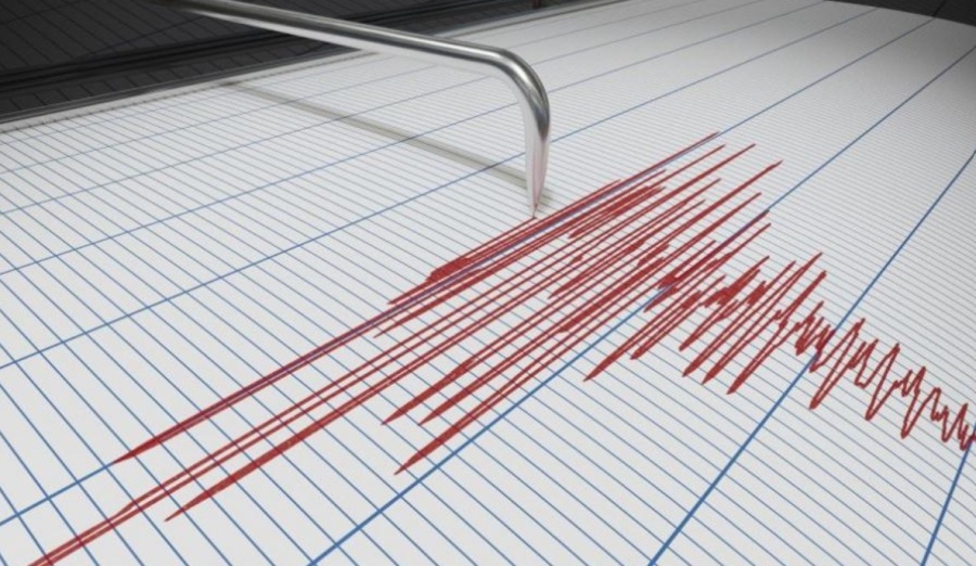 Земетресение от 4 по Рихтер във Вранча