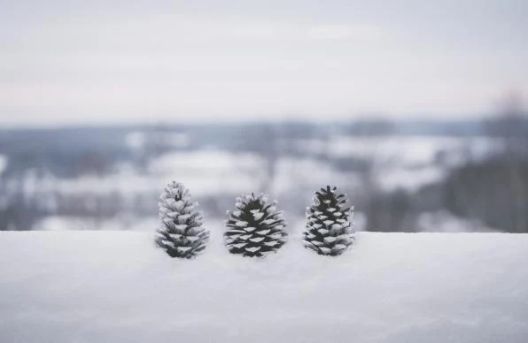 Днес облачно и студено. Максималните температури ще са между - 3° и 2°