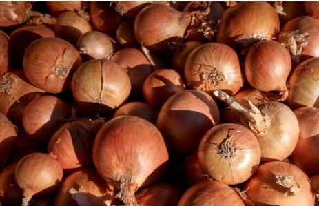 Нов сорт лук без сълзи пуснаха за продажба в САЩ