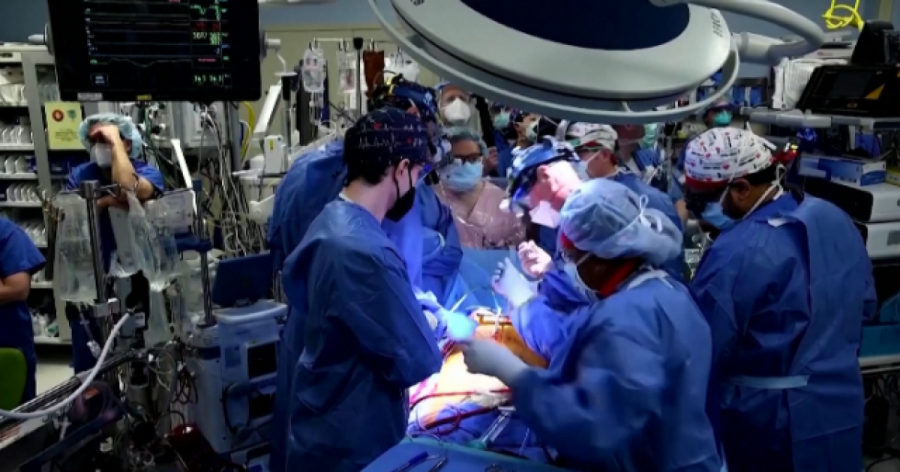 Успешна трансплантация на бъбреци от прасе на човек