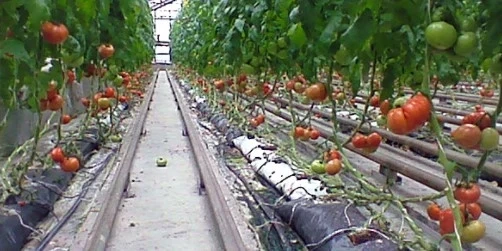 България от ден на ден става все по-тъмна