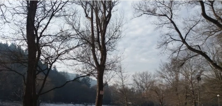 Днес слънчево с максимални температури между 4° и 9°