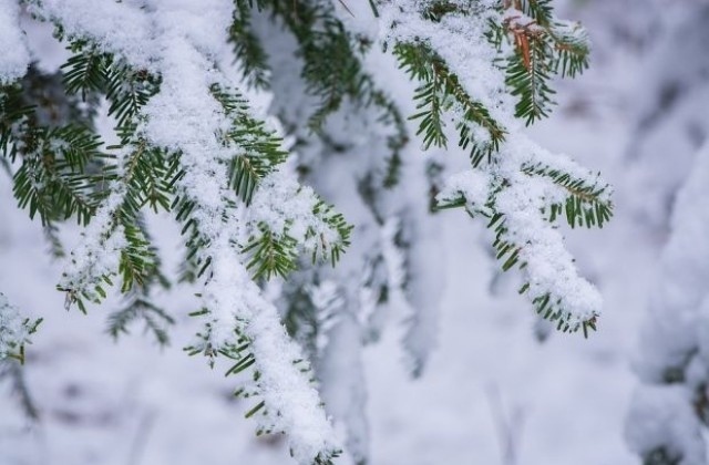 Синоптиците предупреждават за опасно време, обилни снеговалежи в част от страната