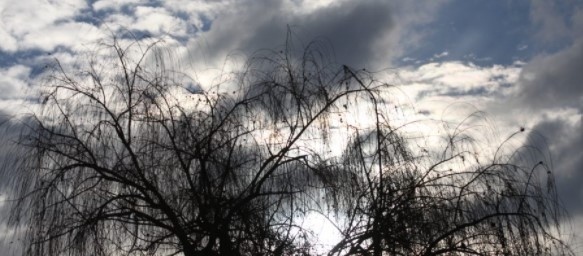 Днес облачно и ветровито. Максималните температури ще са между 10° и 15°