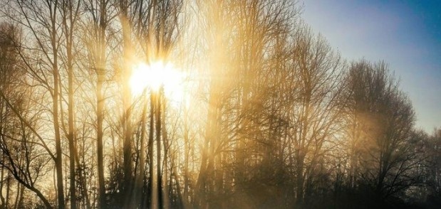 Днес слънчево с максимални температури между 12° и 17°  