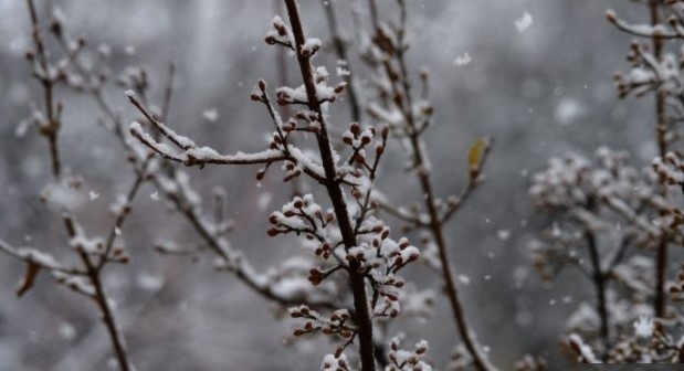 Днес облачно с валжи от сняг. Максималните температури ще са между 5° и 10°