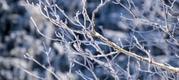 Днес облачно с максимални температури между  - 1° и 4°