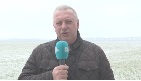 Изкупуването на зърно за държавния резерв не е започнало