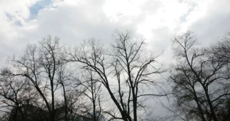 Днес облачно с максимални температури между 4° и 9°