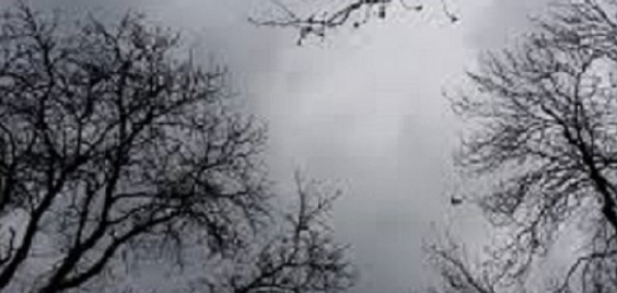 Днес облачно с валежи от дъжд. Максималните температури ще са между 7° и 12°