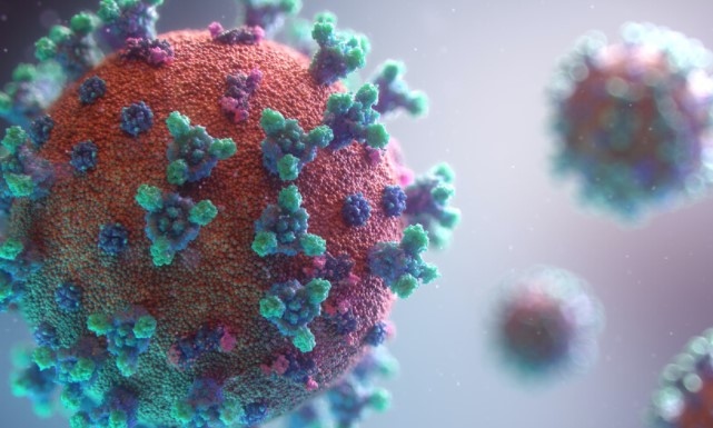 2393 са новите случаи на коронавирус у нас сочи Единния информационен