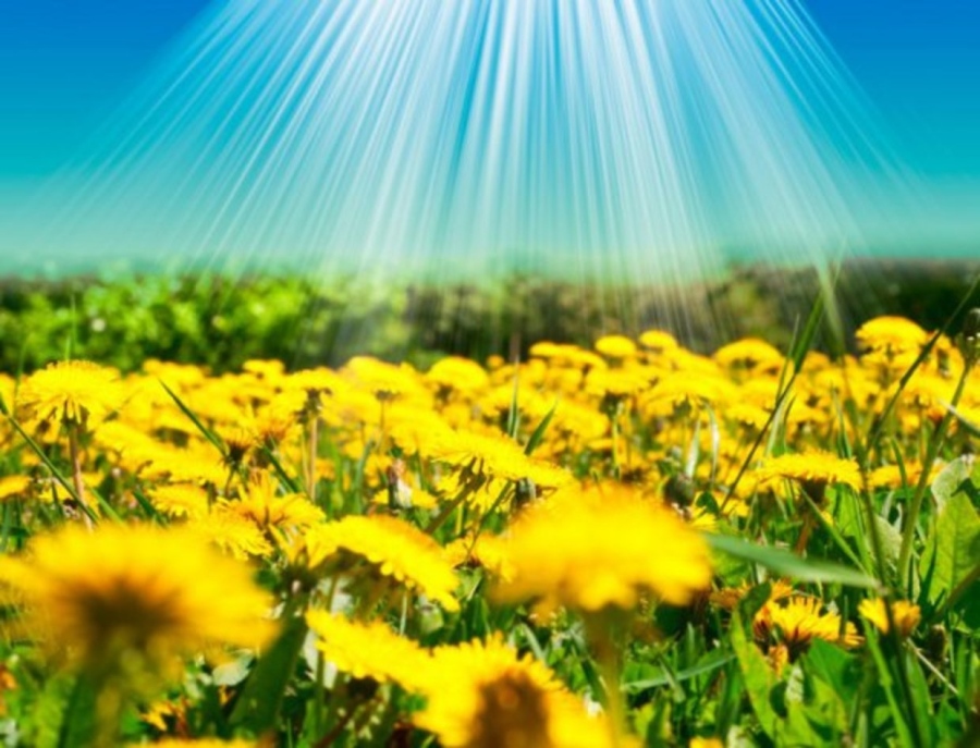 От сряда се разделяме със студеното време