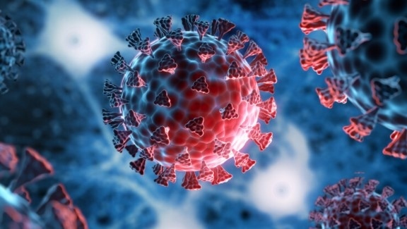 Близо 1500 нови случаи на COVID-19